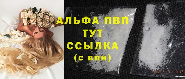 молекула духа Протвино