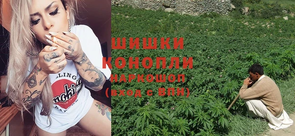 молекула духа Протвино