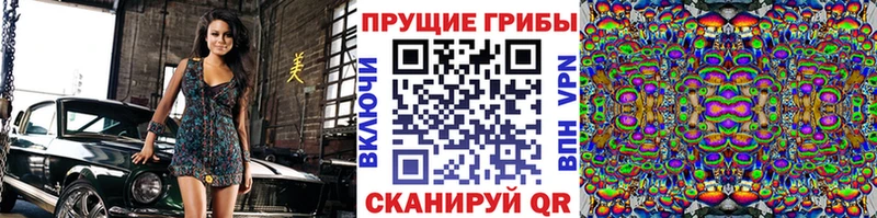 где купить наркотик Анива Псилоцибиновые грибы Psilocybine cubensis